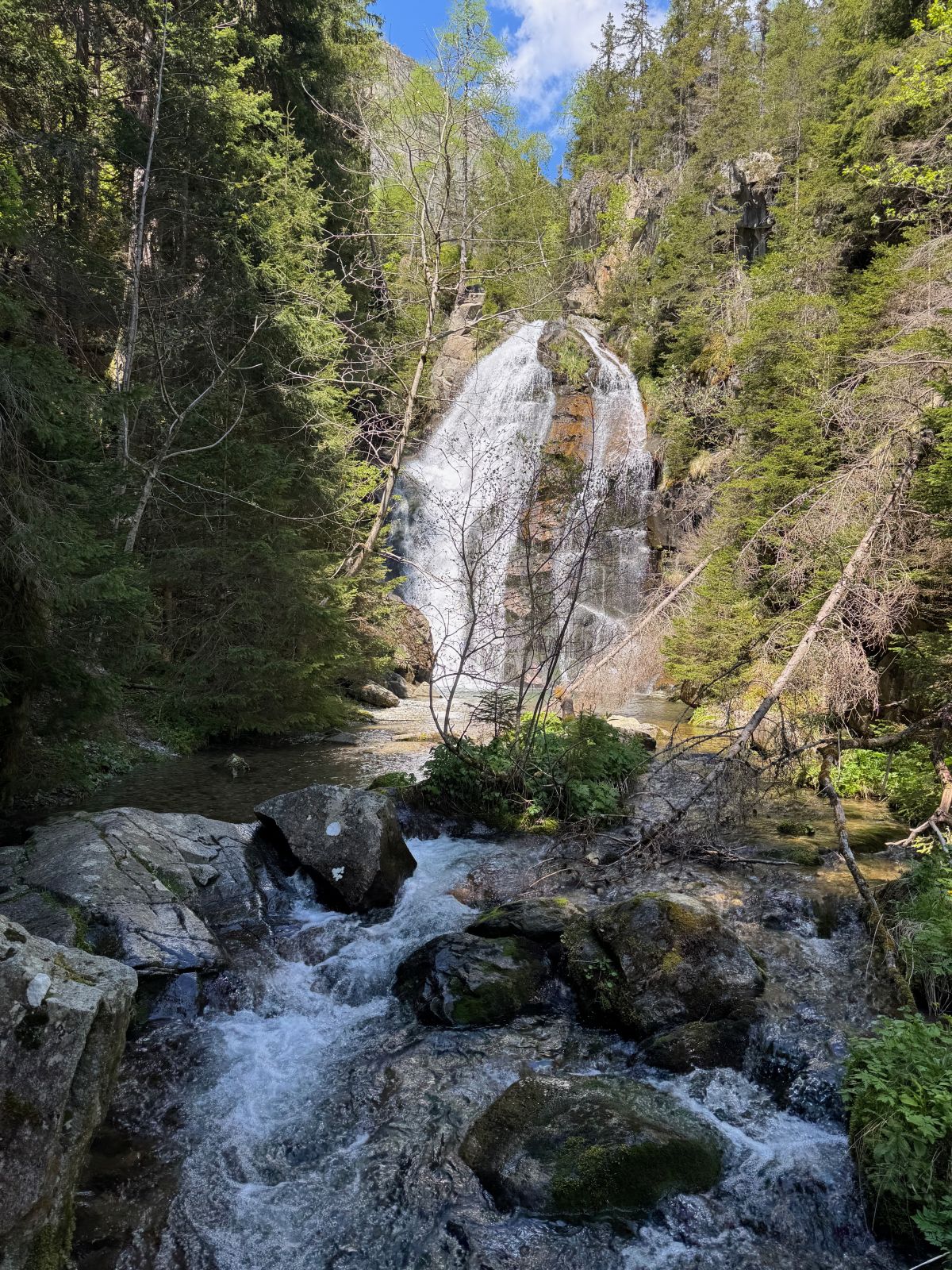 Les alentours du Lodge