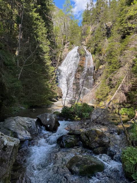 Les alentours du Lodge